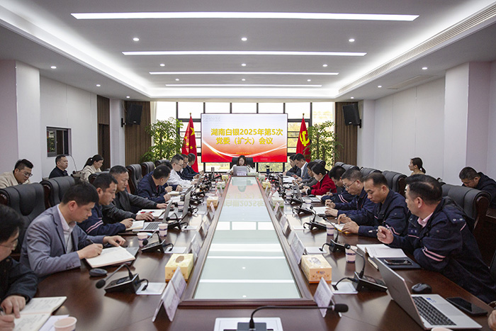 湖南白银党委召开党委（扩大）会议研究部署开展深入贯彻中央八项规定精神学习教育工作