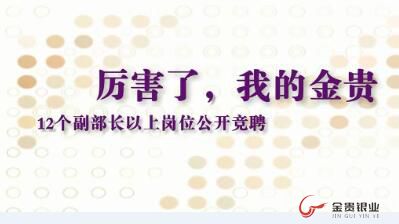 厉害了，我的金贵！